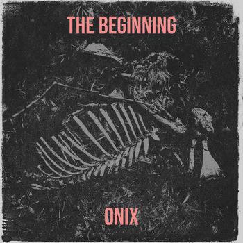 Onix - The Beginning