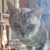 Chris Leo - Catnap Over the Horizon