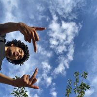 Z - who need it