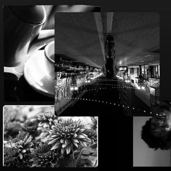 Jako - Earl Grey