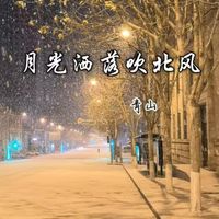 青山 - 月光洒落吹北风
