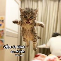 Chris Leo - Rêve de Chat au Matin