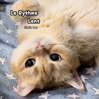 Chris Leo - Le Rythme Lent