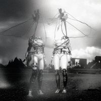 Base - UNV009