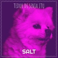 SALT - Teduh Di Senja Itu