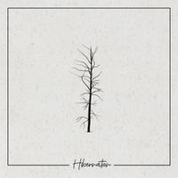 PIN - Hibernation