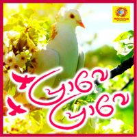 Veena Prakash - Prave Prave