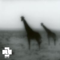 Rammstein - Keine Lust