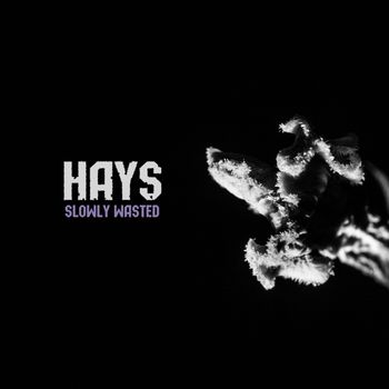 HAYS - Slowly Wasted (Explicit)