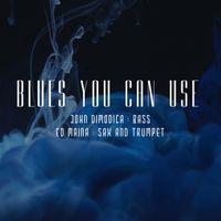John DiModica & Ed Maina - Blues You Can Use