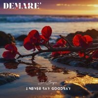 Davit Barqaia - I Never Say Goodbay