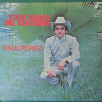 Raul Perez - Viejo Samán Del Recuerod