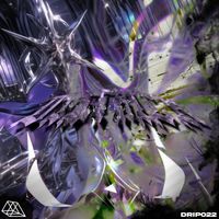DISTKICK - Uvechie