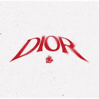 Air Boy - DIOR
