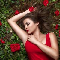 Milen - Январская роза