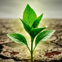 Mazz - Voices in the Dark