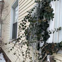 Rainbow - Twisted Metal (Explicit)