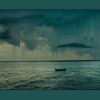 Nikonn - How many more?