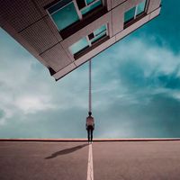 Dolphins - You Stand Above the Ordinary Line
