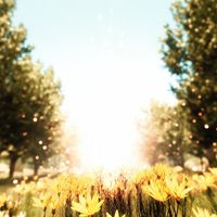 Kuva - Light