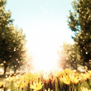 Kuva - Light