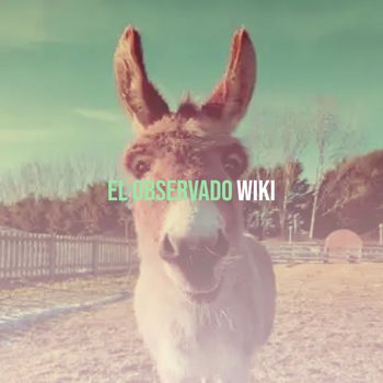 Wiki - El Observado