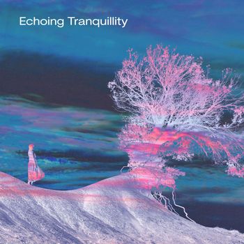 Various Artists - Echoing Tranquillity