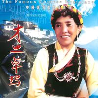 才旦卓玛 - 名人名歌-才旦卓玛