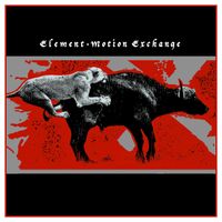 Element - Motion Exchange