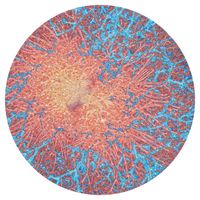 Max Cooper - Pattern Index