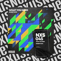 Robert Raya - What You Need