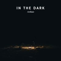 Ardnas - In the Dark