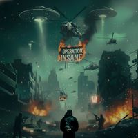 Maikeds - Operation: Insane
