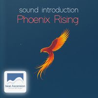 Sound introduction - Phoenix Rising