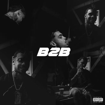 Hozwal - B2B (Explicit)