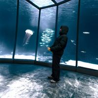 nello - icloud drive