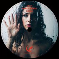 Ahmet Sendil - Desire