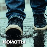 Койоты - Теки