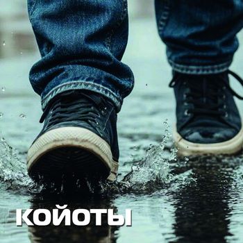 Койоты - Теки