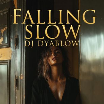 DJ Dyablow - Falling Slow