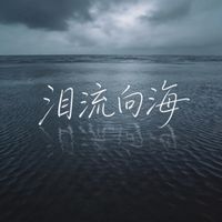 一隻鞋 - 淚流向海