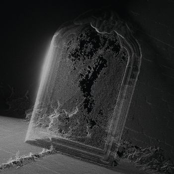 Visible Cloaks - Paradessence