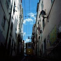 Mr. Bi - Vozes que o Destino Escreveu