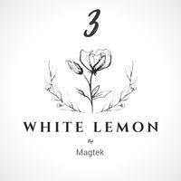 Magtek - White Lemon, Pt. 3