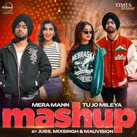 Juss - Mera Mann x Tu Jo Mileya (Mashup)