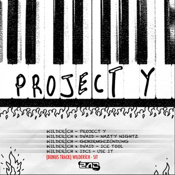WILDERÍCH - PROJECT Y