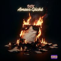 DSX - Amour Gache (Explicit)