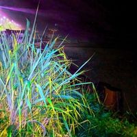 miso - HaShh (Explicit)