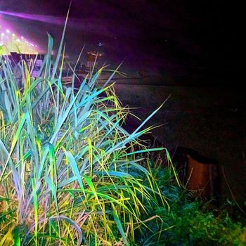 miso - HaShh (Explicit)