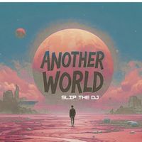 Slip The DJ - Another World